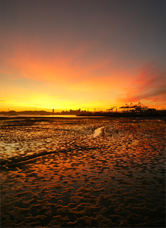 oakland tidal flats, winter 2011